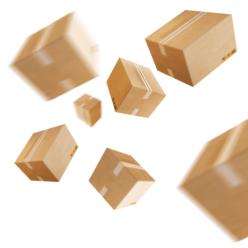 Section Image